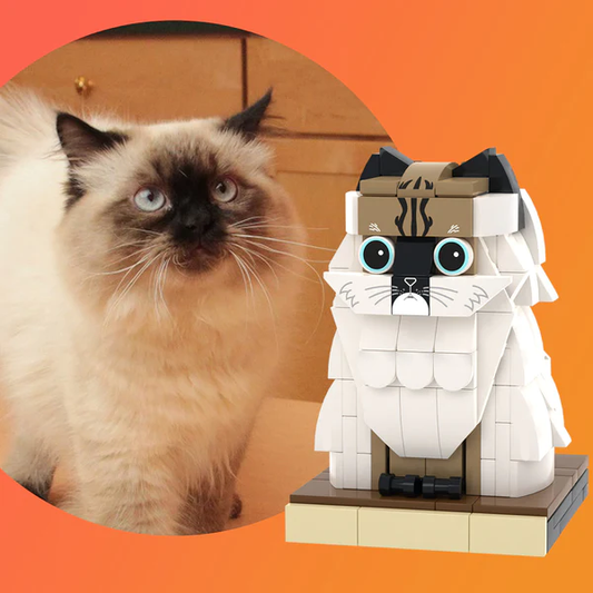 Custom Pet Brick Figure Fully Body Customizable 1 Cat Photo Brick Figures Customized Cat Only