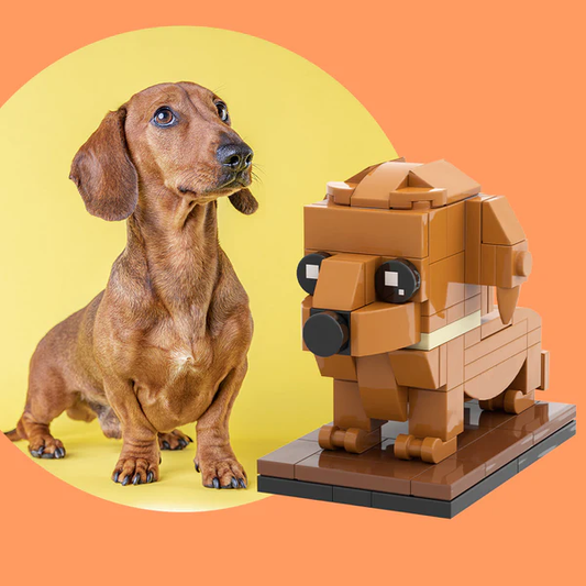 Fully Body Customizable Dachshund 1 Dog Photo Custom Brick Figures Small Particle Block Brick Me Figures Customized Dachshund Only