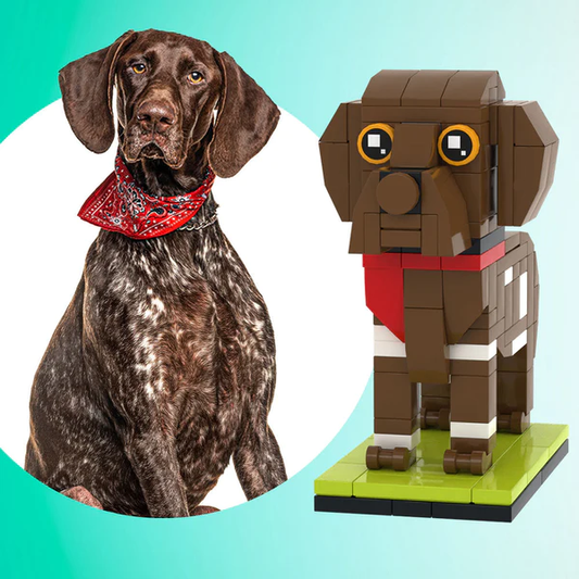 Fully Body Customizable German Shorthaired Pointer 1 Dog Photo Custom Brick Figures Small Particle Block Brick Me Figures Customized German